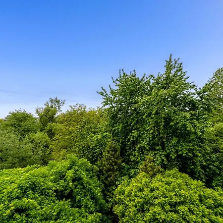 Wilga Park Homely By Bookinghost